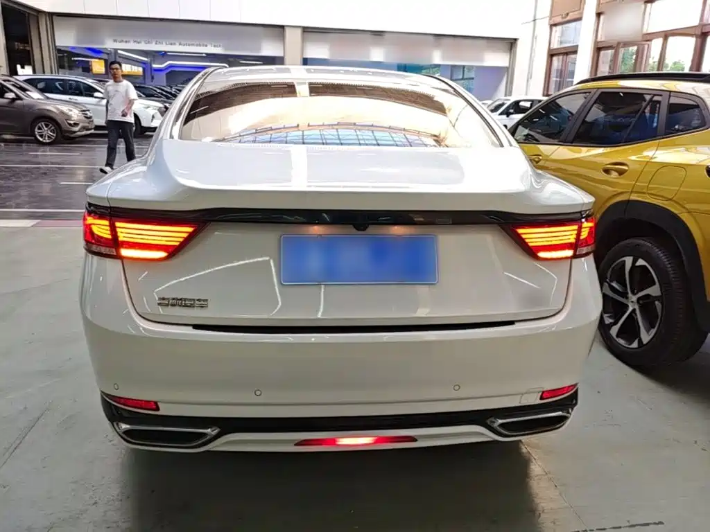 Фото 6 - Geely Borui