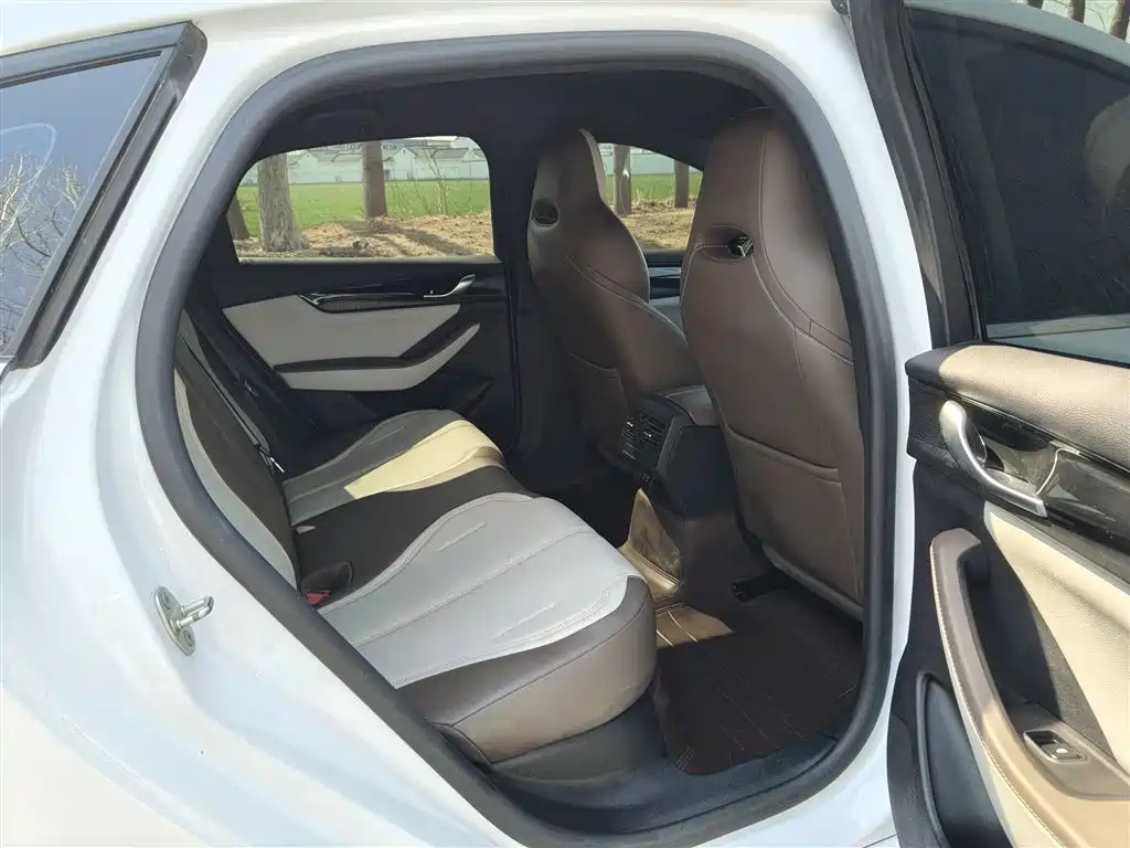 BYD Qin PLUS 2024 Glory Edition DM-i 55KM Leading фото 12