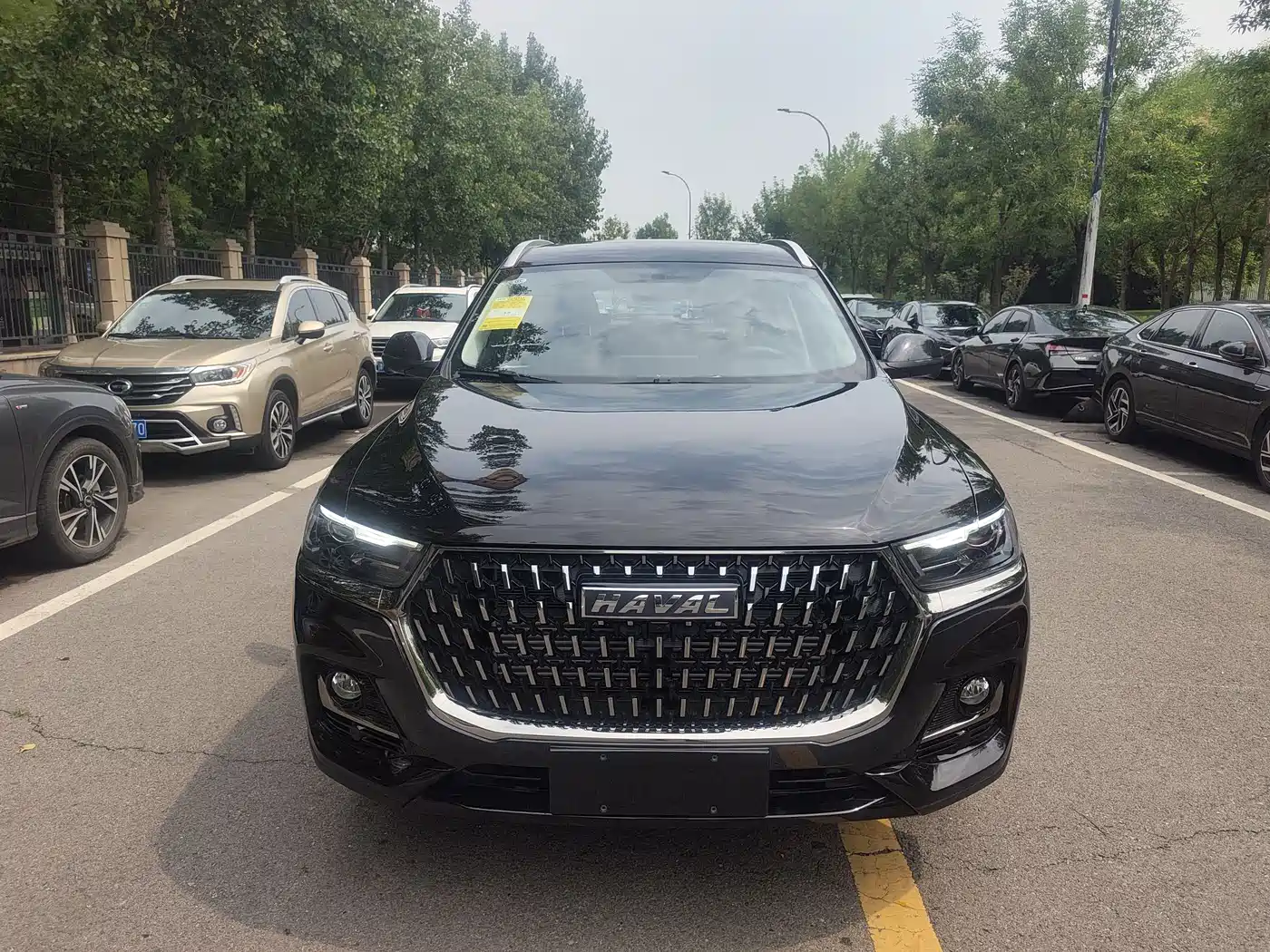 Haval H6 2023 National Trend Edition 1.5T Automatic Urban