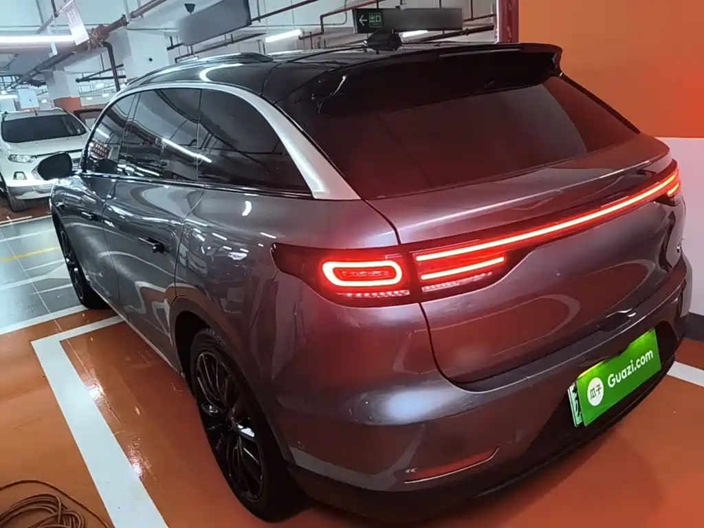 Leapmotor C11 2022 2021 Luxury Edition