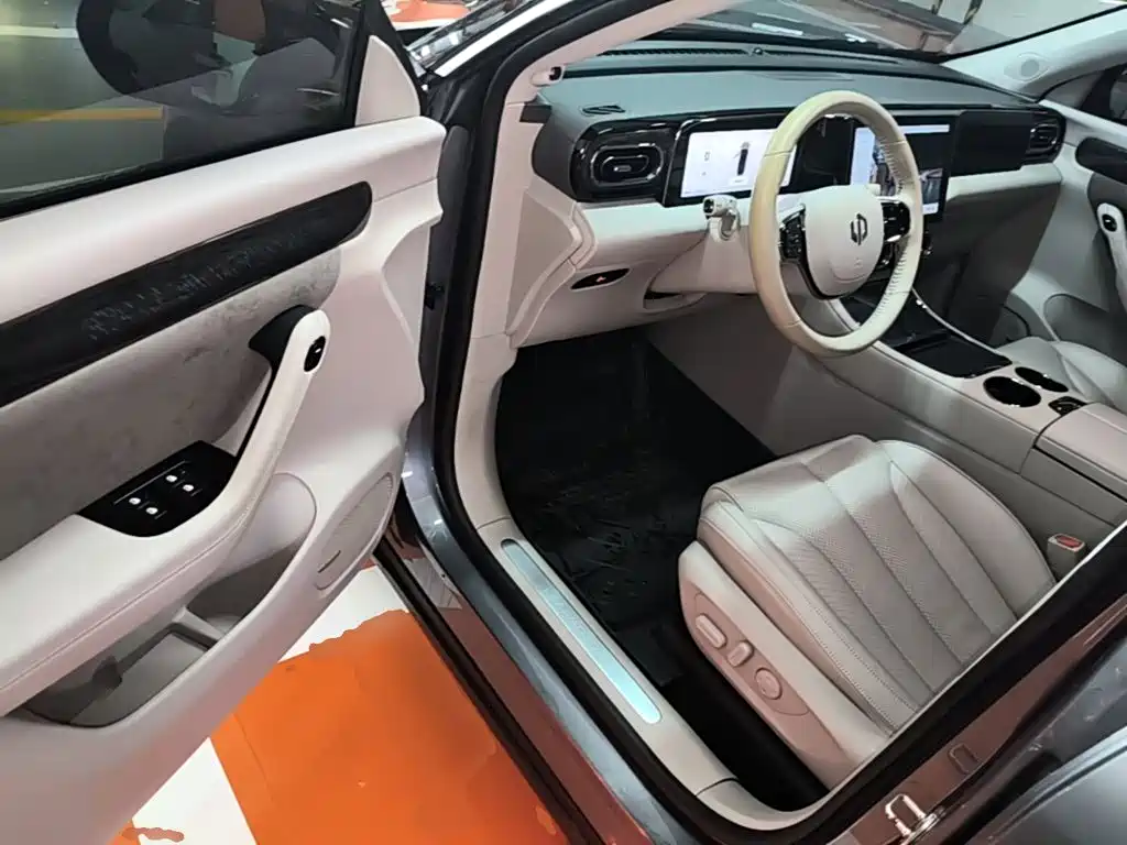 Leapmotor C11 2022 2021 Luxury Edition