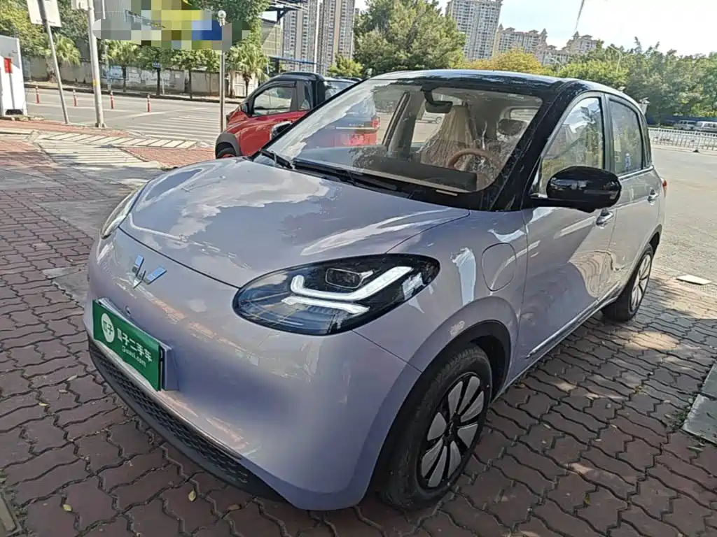 Wuling Motors Wuling Bingo 2026 2025 Model 333km Smart Premium
