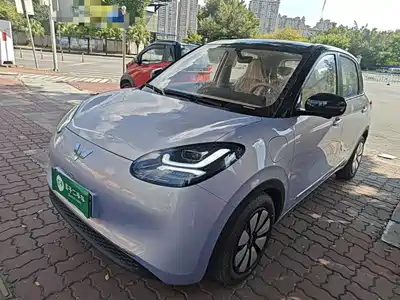 Wuling Bingo