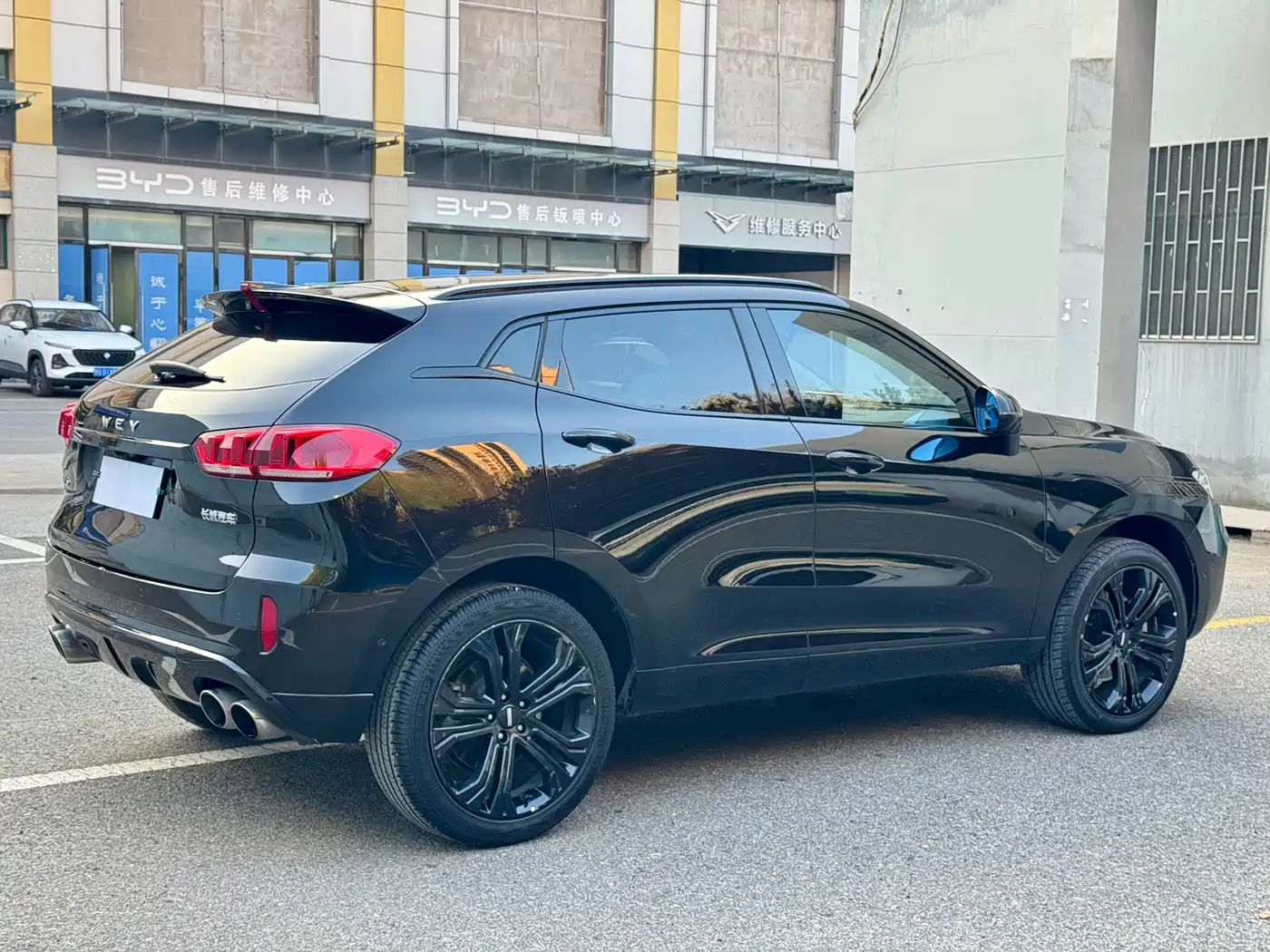 WEI PAI WEI BRAND VV5