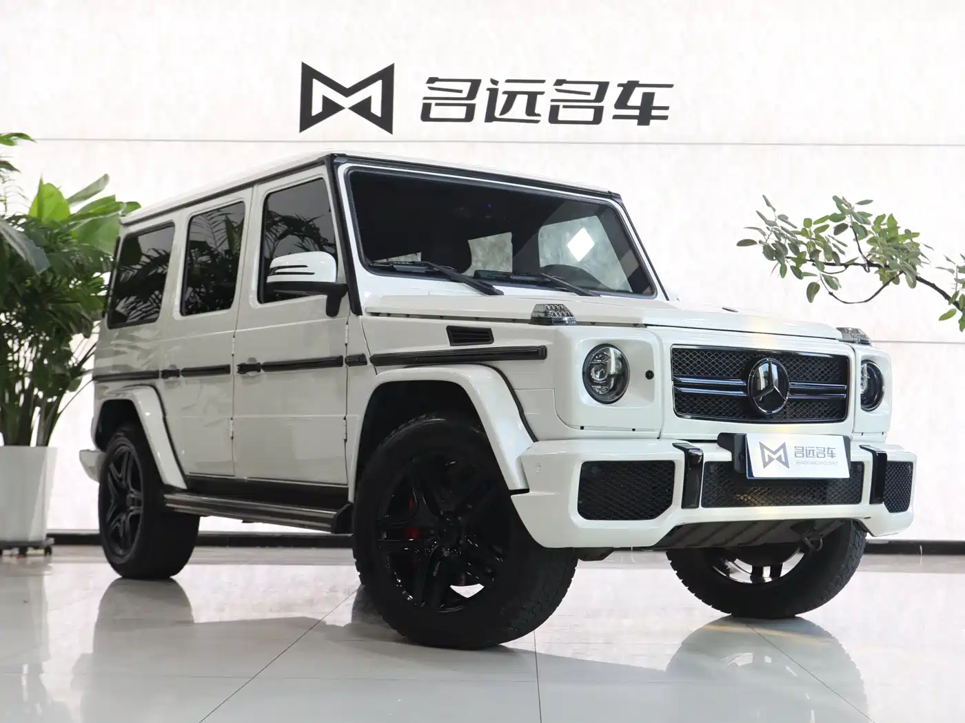 Mercedes-Benz G-Class AMG 2013 AMG G 63 фото 3