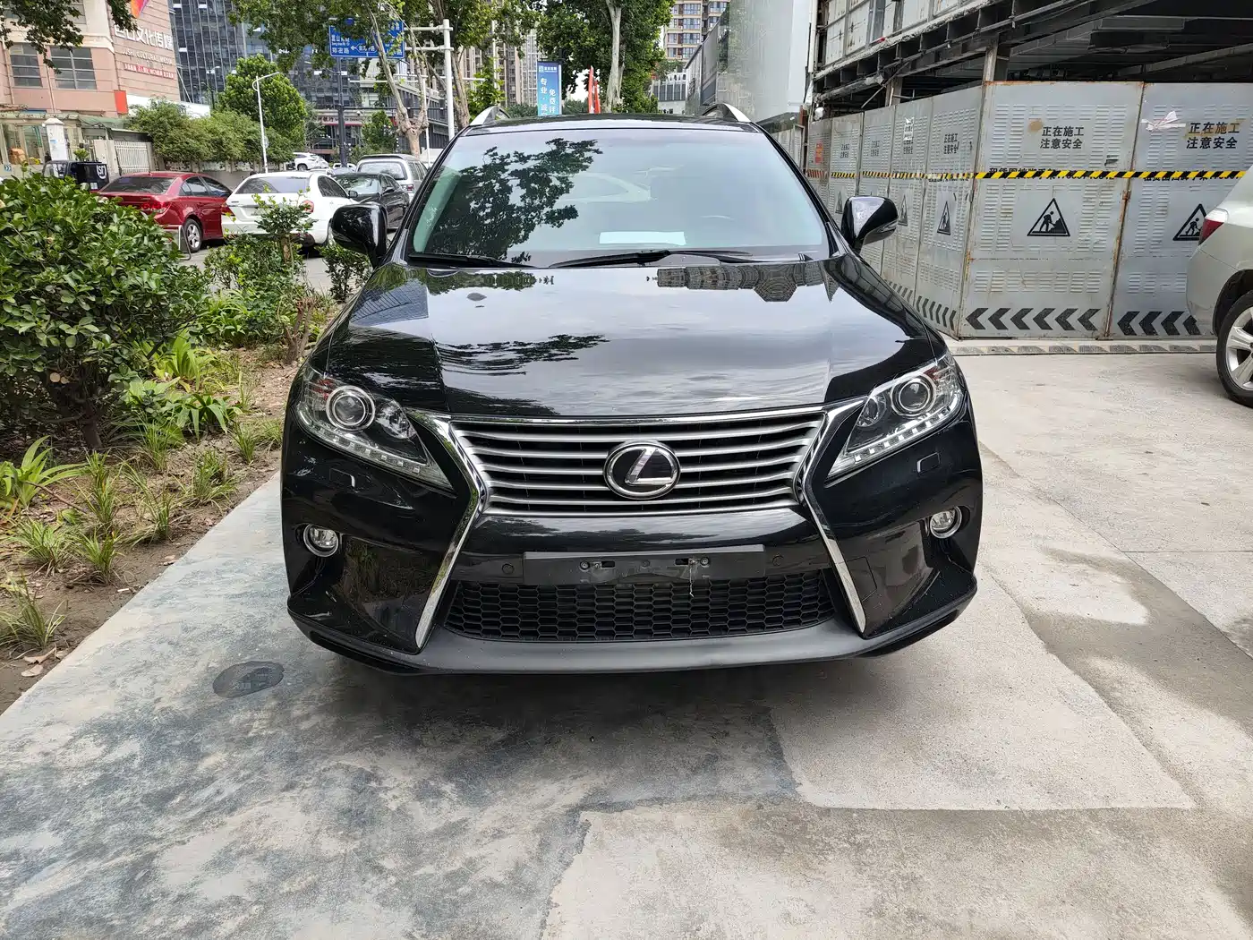 Lexus RX Classic 2013 270 Elite фото 2