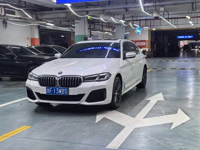 BMW 5 530Li, Лидер, M Спорт-пакет