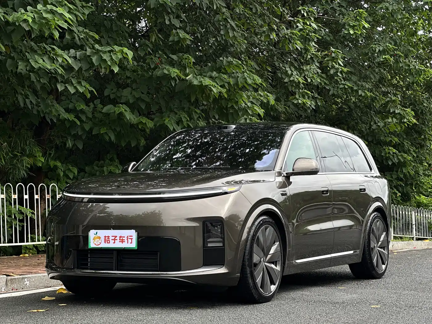 Li Auto Li Xiang L9 2026 Base Model
