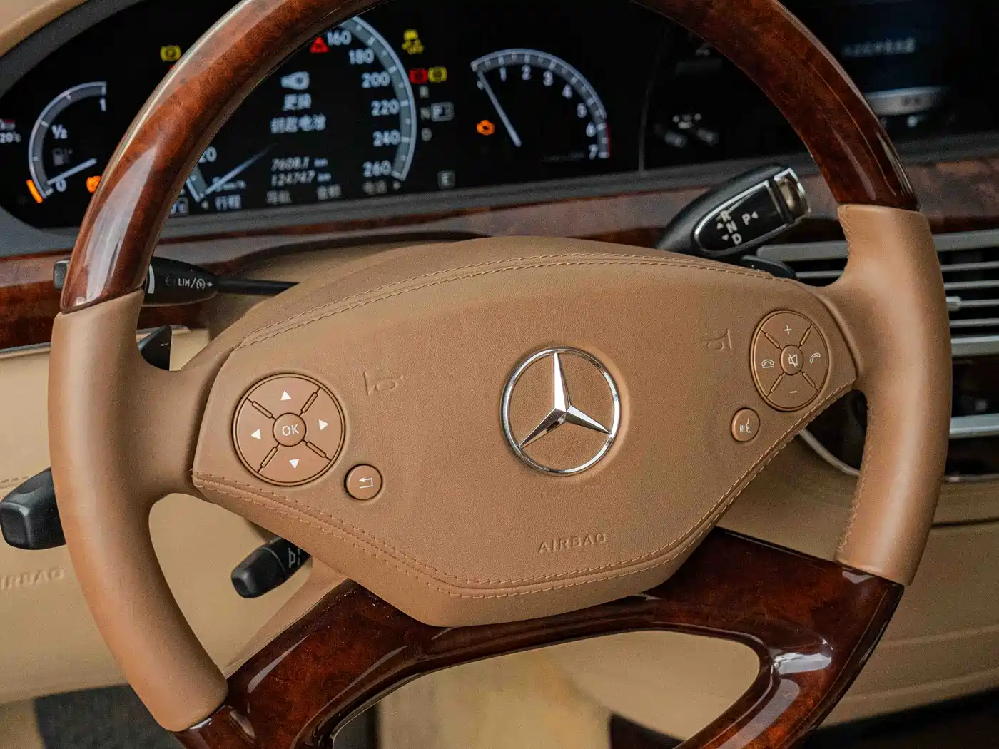 Mercedes-Benz S-Class 2010 S 600 L фото 17