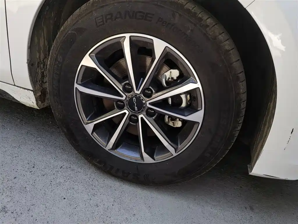 BYD Destroyer 05 2024 Glory Edition DM-i 55KM Luxury фото 26