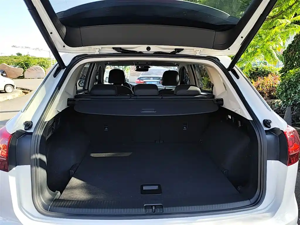 VOLKSWAGEN TANYUE