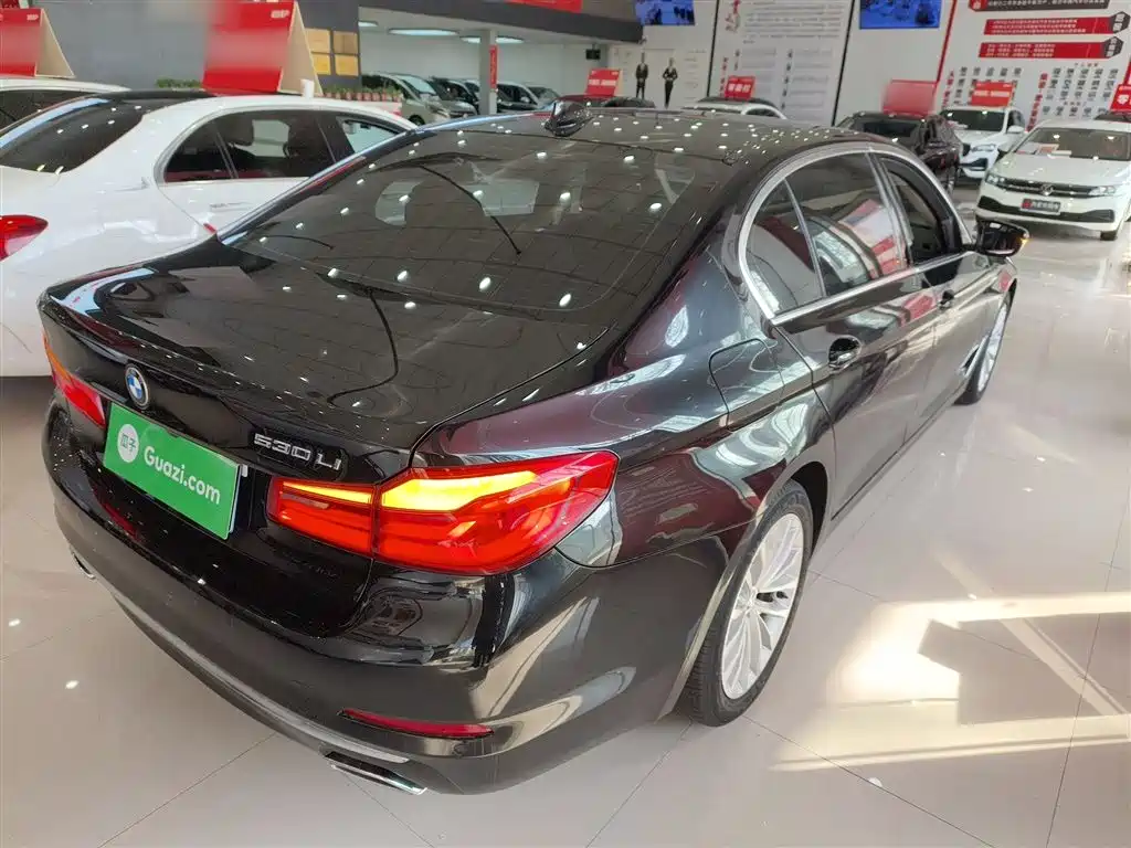 BMW 5 Series 2019 530Li xDrive Luxury Package фото 5