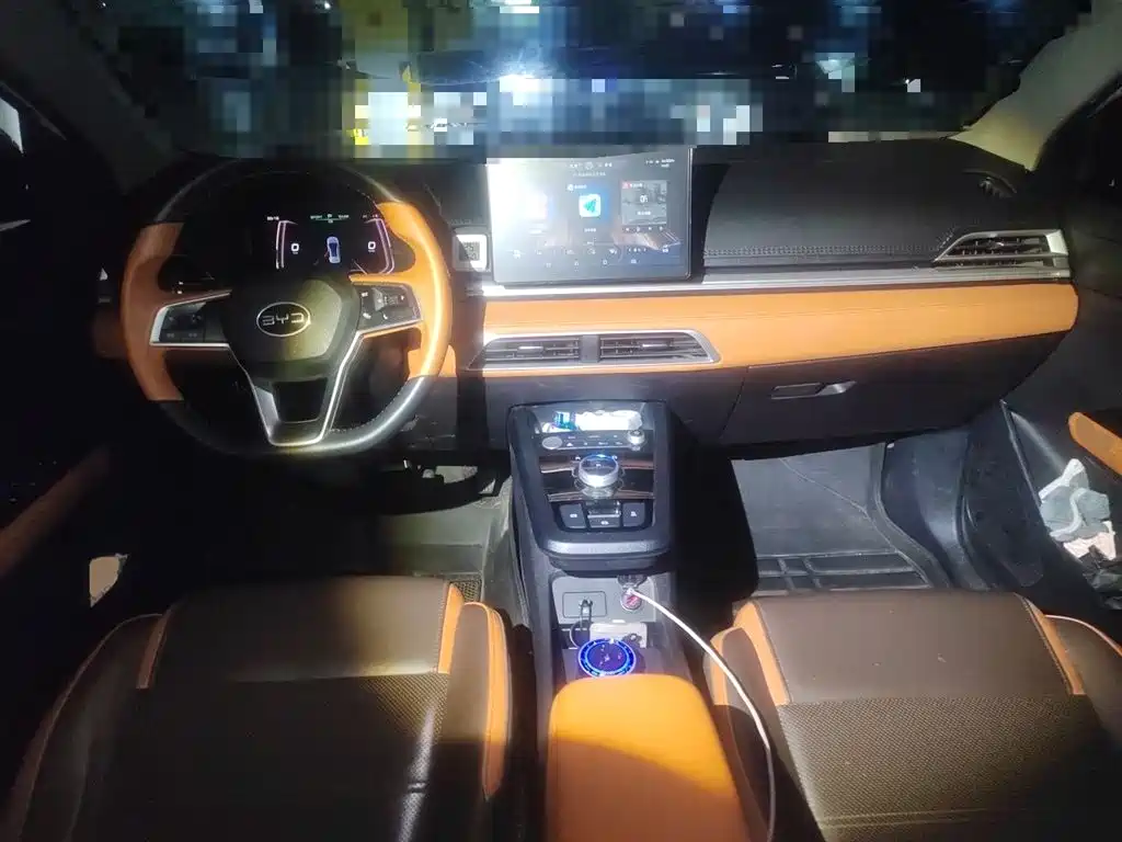 BYD e2 2021 Luxury Edition фото 5