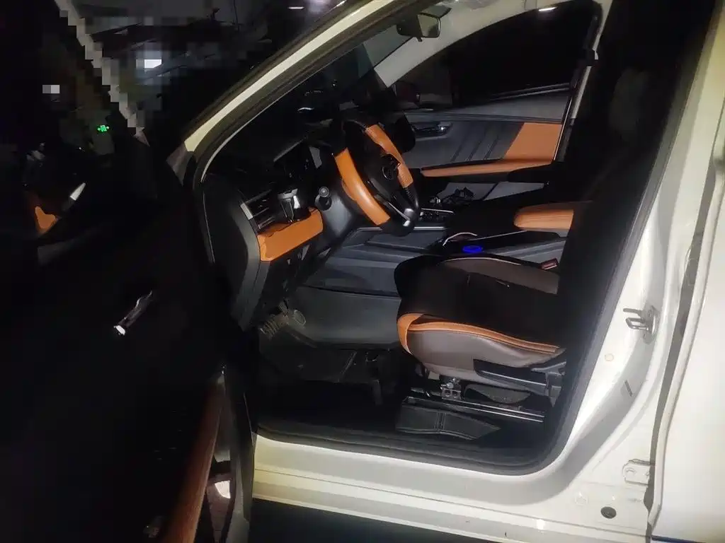 BYD e2 2021 Luxury Edition фото 11