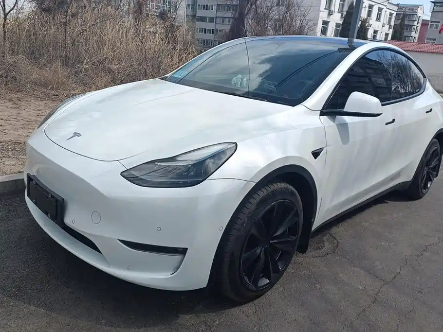 Tesla Model Y 2021 Model Long Range AWD