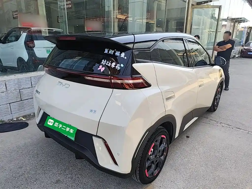 BYD Seagull 2024 Glory Edition 305km Freedom Edition фото 5