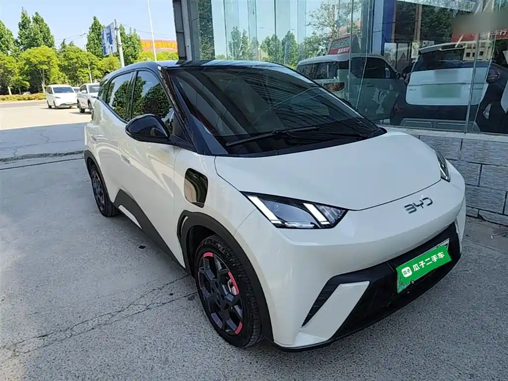 BYD Seagull 2024 Glory Edition 305km Freedom Edition фото 22