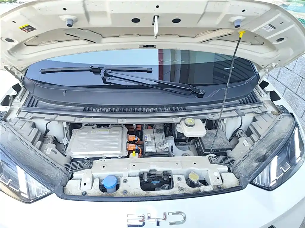 BYD Seagull 2024 Glory Edition 305km Freedom Edition фото 16