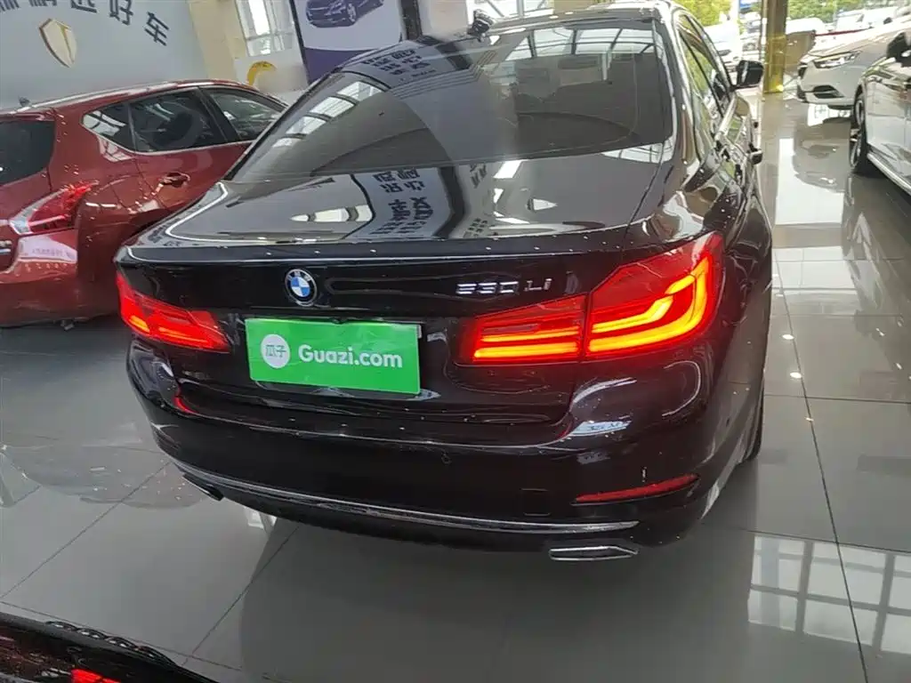 BMW 5 Series 2019 Facelift 530Li Premium Luxury Package фото 6