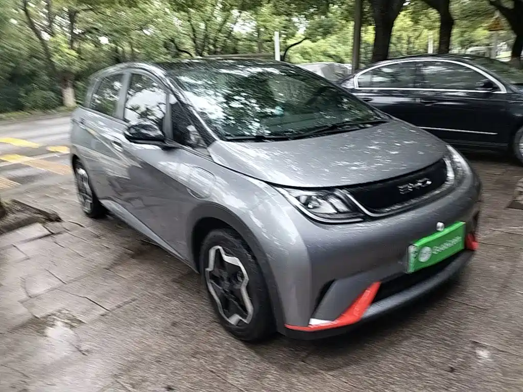 Фото 4 - BYD Dolphin
