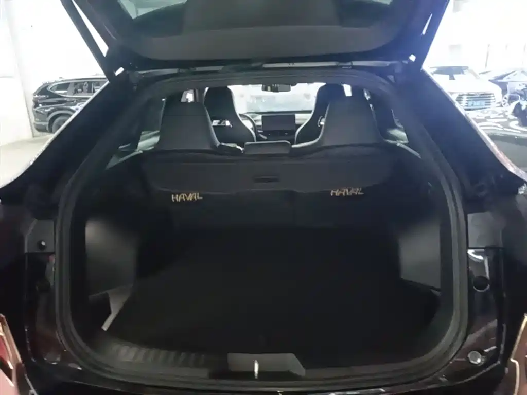 HAVAL H6S