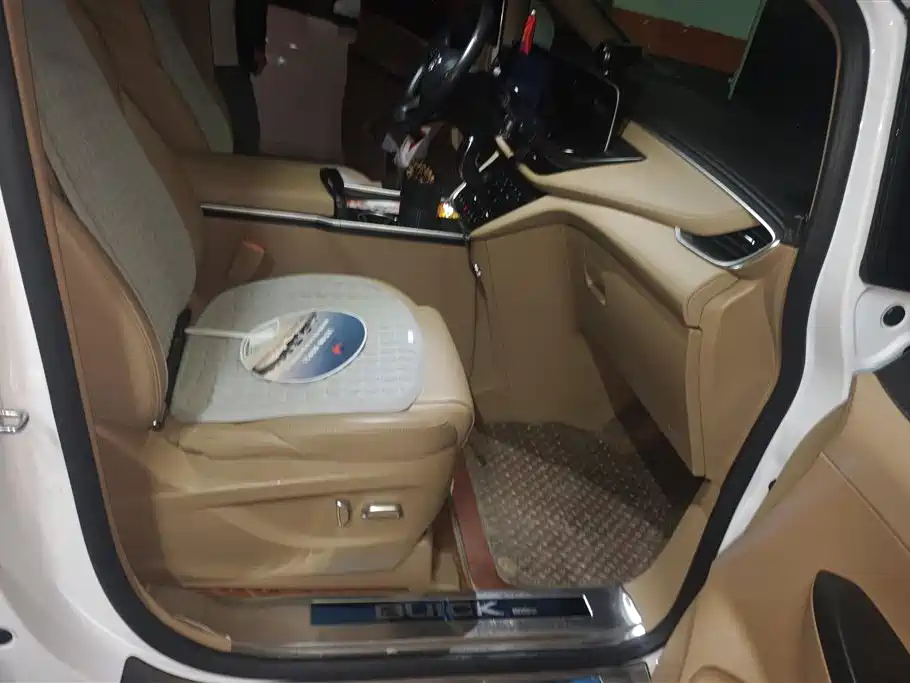 Buick GL8 2021 ES Landlord 653T Premium фото 8