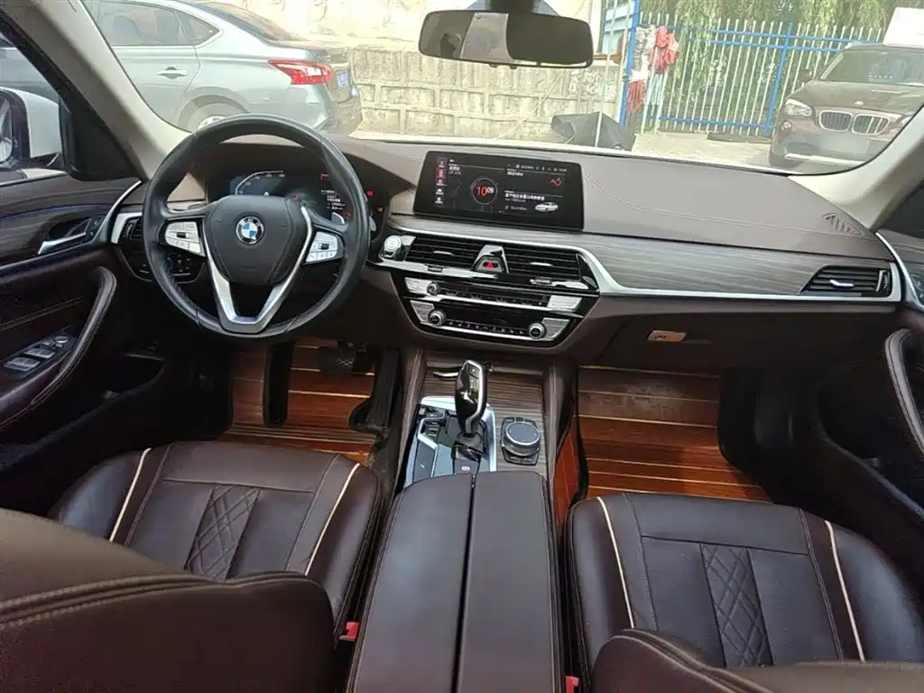 BMW 5 Series 2020 530Li xDrive Luxury Package фото 10