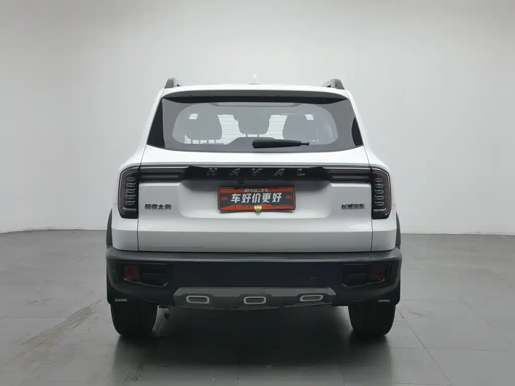 Haval Big Dog, миниатюра 4