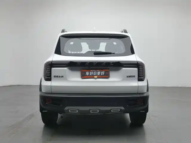 Haval Big Dog 2021 1.5T DCT 2WD Labrador Edition — фото 4