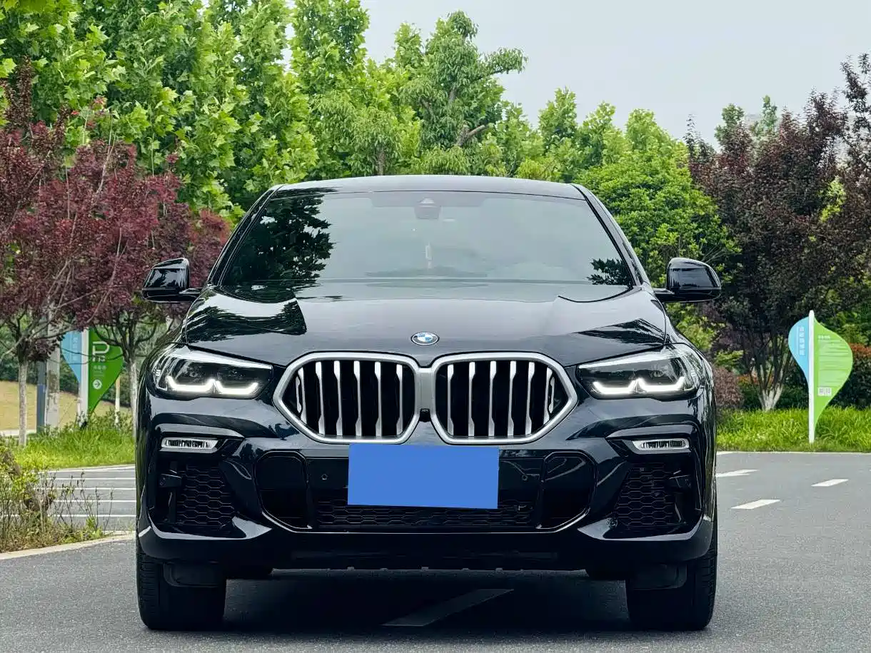 BMW X6 2021 xDrive30i M Sport Package фото 2