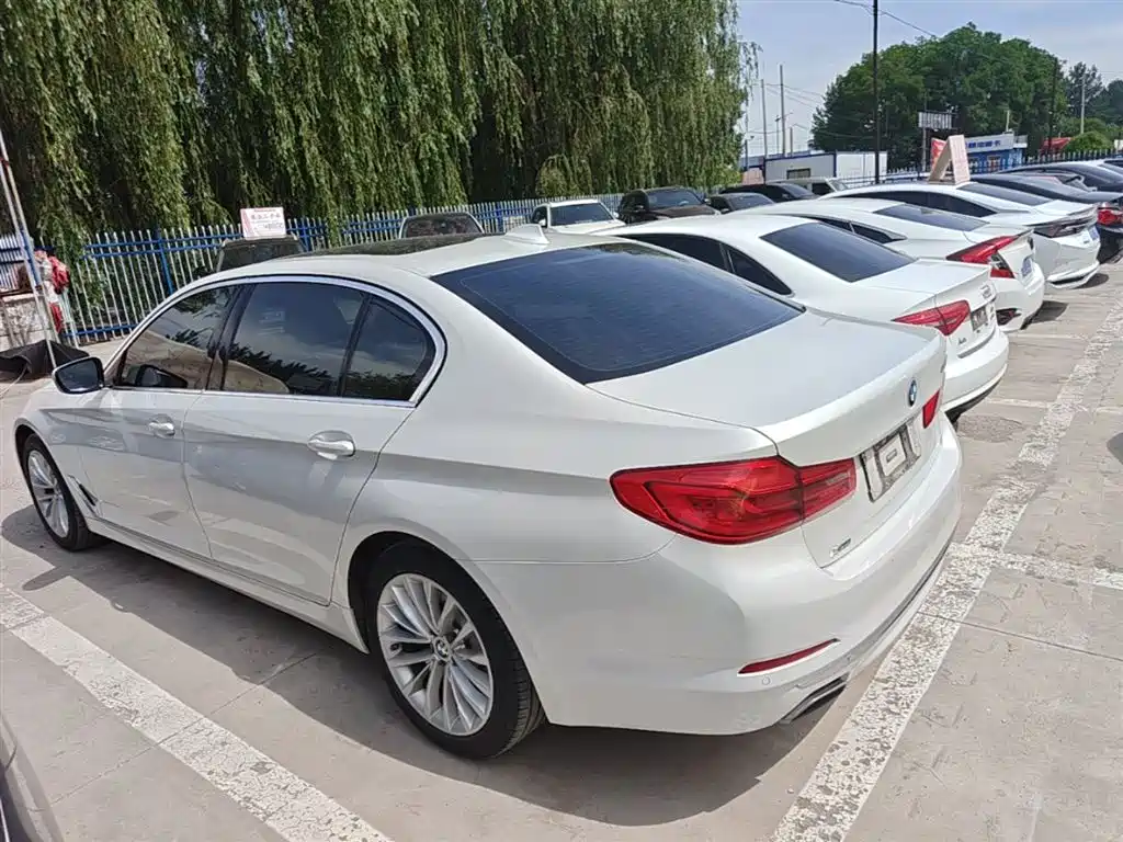 BMW 5 Series 2020 530Li xDrive Luxury Package фото 5