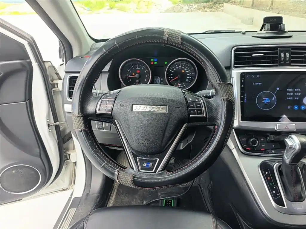 Haval H6 2017 Blue Label Sport 1.5T Auto 2WD Luxury фото 11