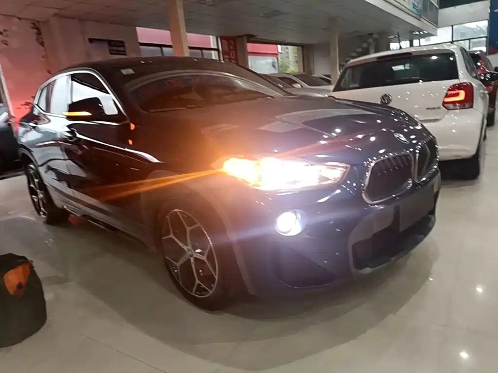 BMW X2 (Import) 2019 2019 sDrive20i M Off-Road Package China VI
