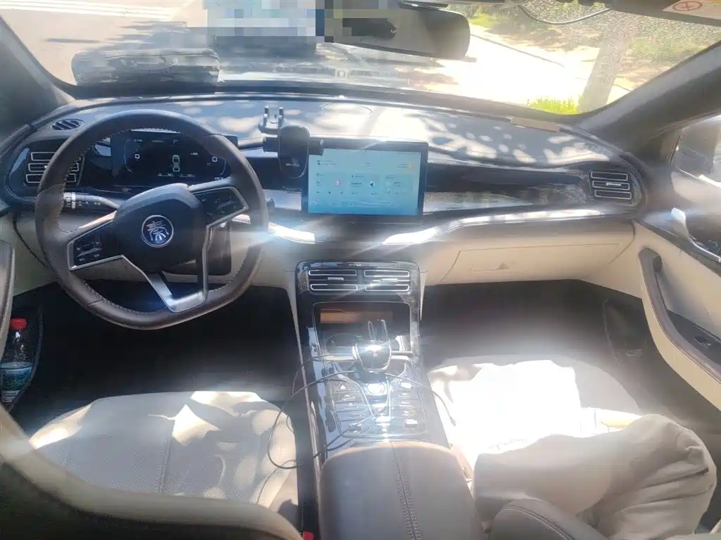 BYD Qin PLUS 2024 Glory Edition DM-i 55KM Leading фото 6