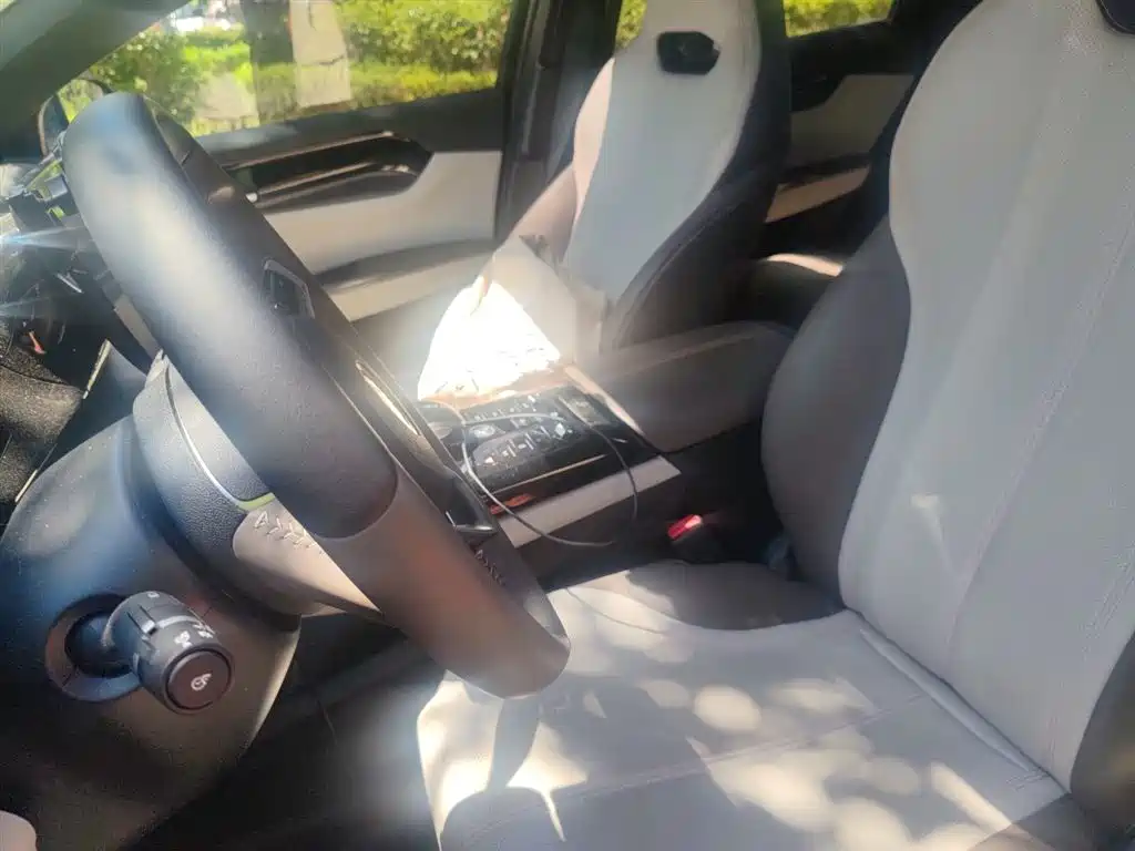 BYD Qin PLUS 2024 Glory Edition DM-i 55KM Leading фото 12