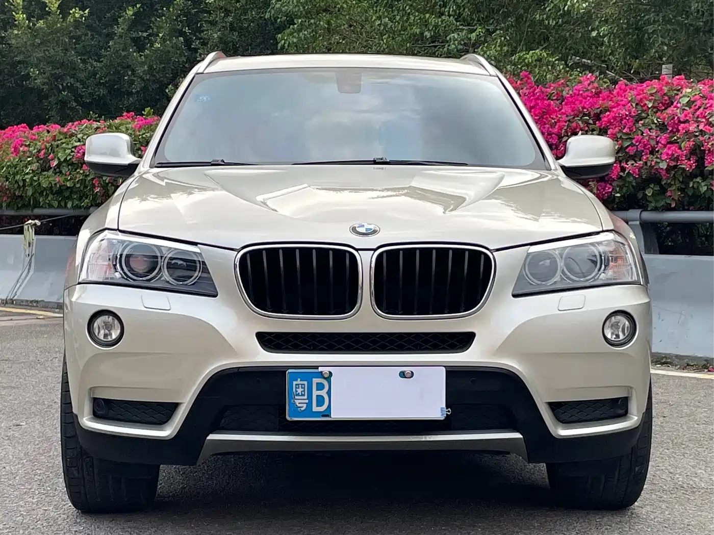 BMW X3 (Import) 2013 xDrive20i Luxury фото 2