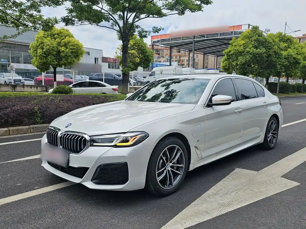 BMW 5 Series New Energy 2022