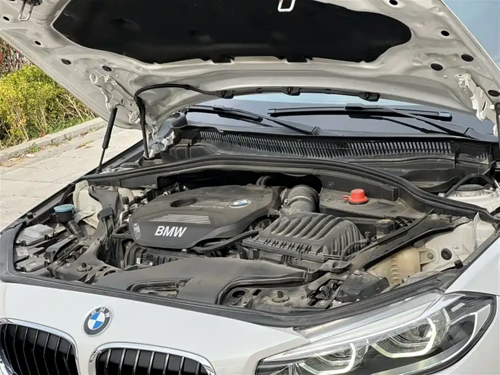 BMW 1 Series 2018 Facelift 118i Sport фото 21