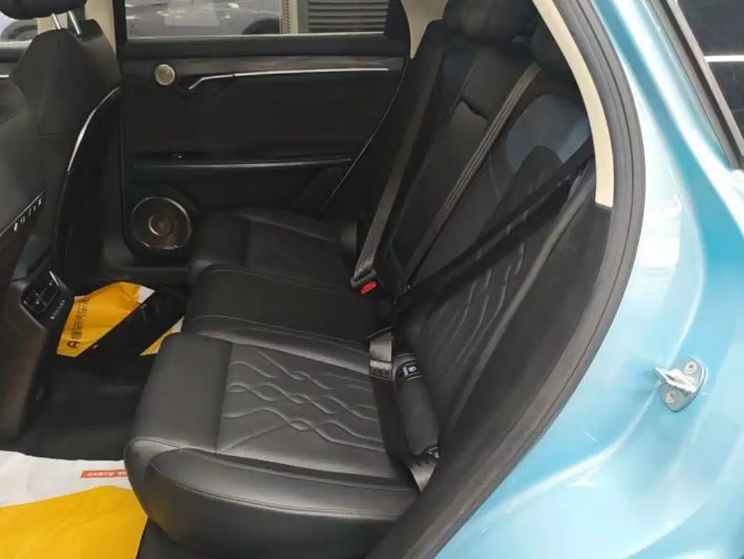 Voyah Auto VOYAH FREE 2021 AWD Standard Range Extender Exclusive Luxury Package фото 8