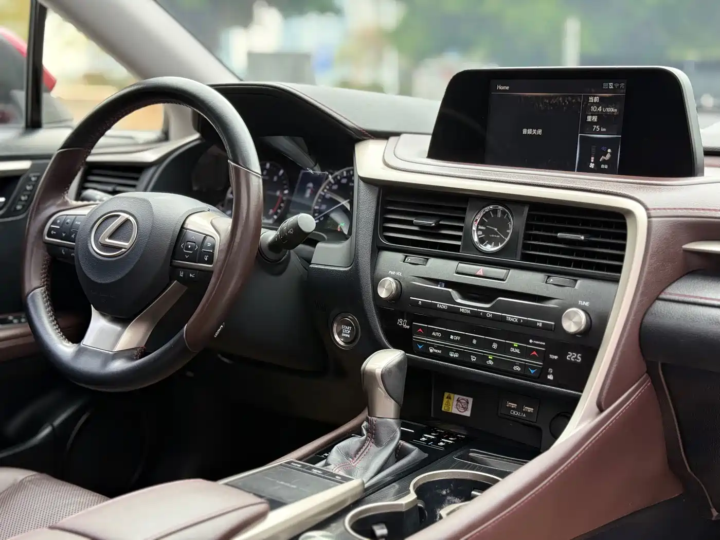 Lexus RX 2020 300 4WD Elegance Edition China VI фото 17