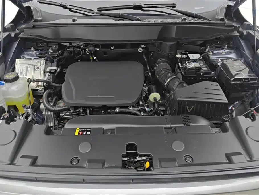 Haval Big Dog 2024 1.5T DCT Border Collie Edition фото 10