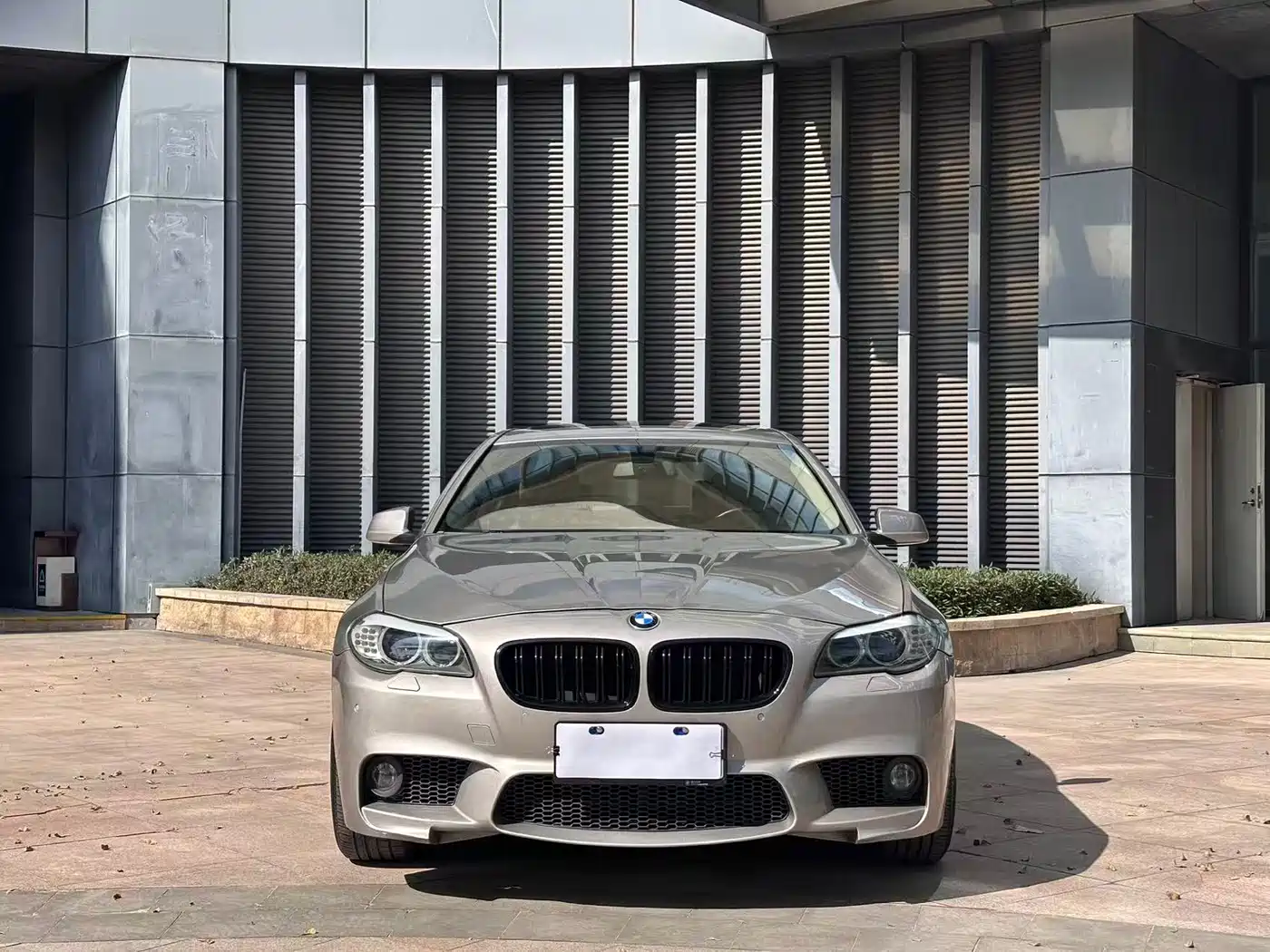 BMW 5 Series 2013 525Li Leadership фото 2