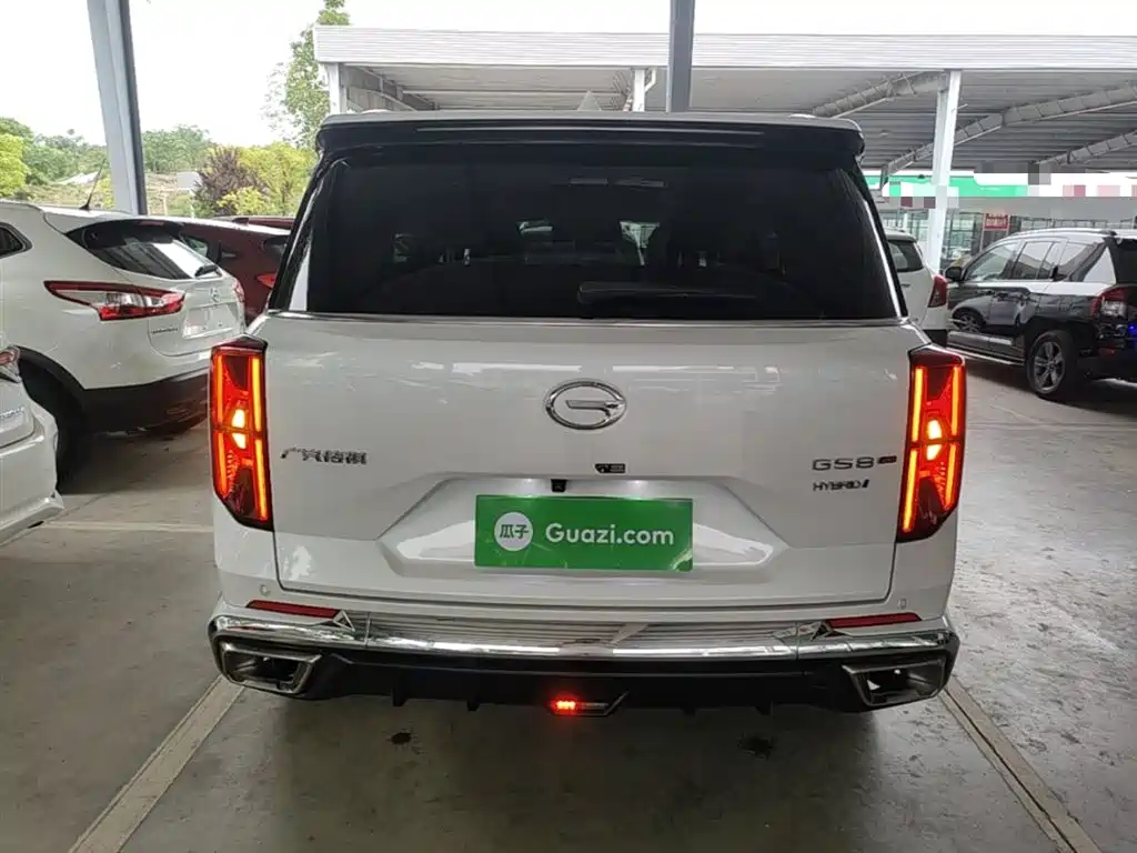 GAC Trumpchi Trumpchi GS8 2022 Hybrid Series 2.0TM 4WD Premium Edition (7-Seater) фото 6