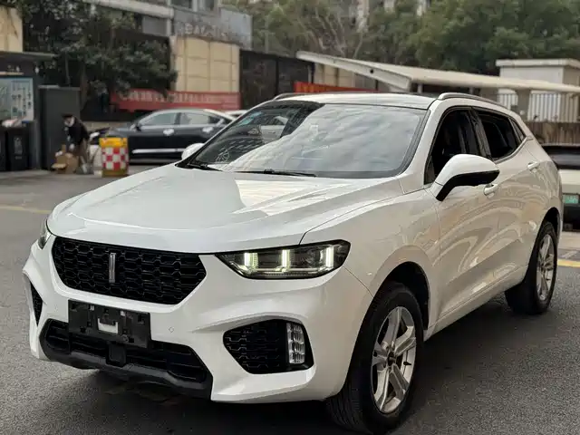 WEI PAI WEI BRAND VV5