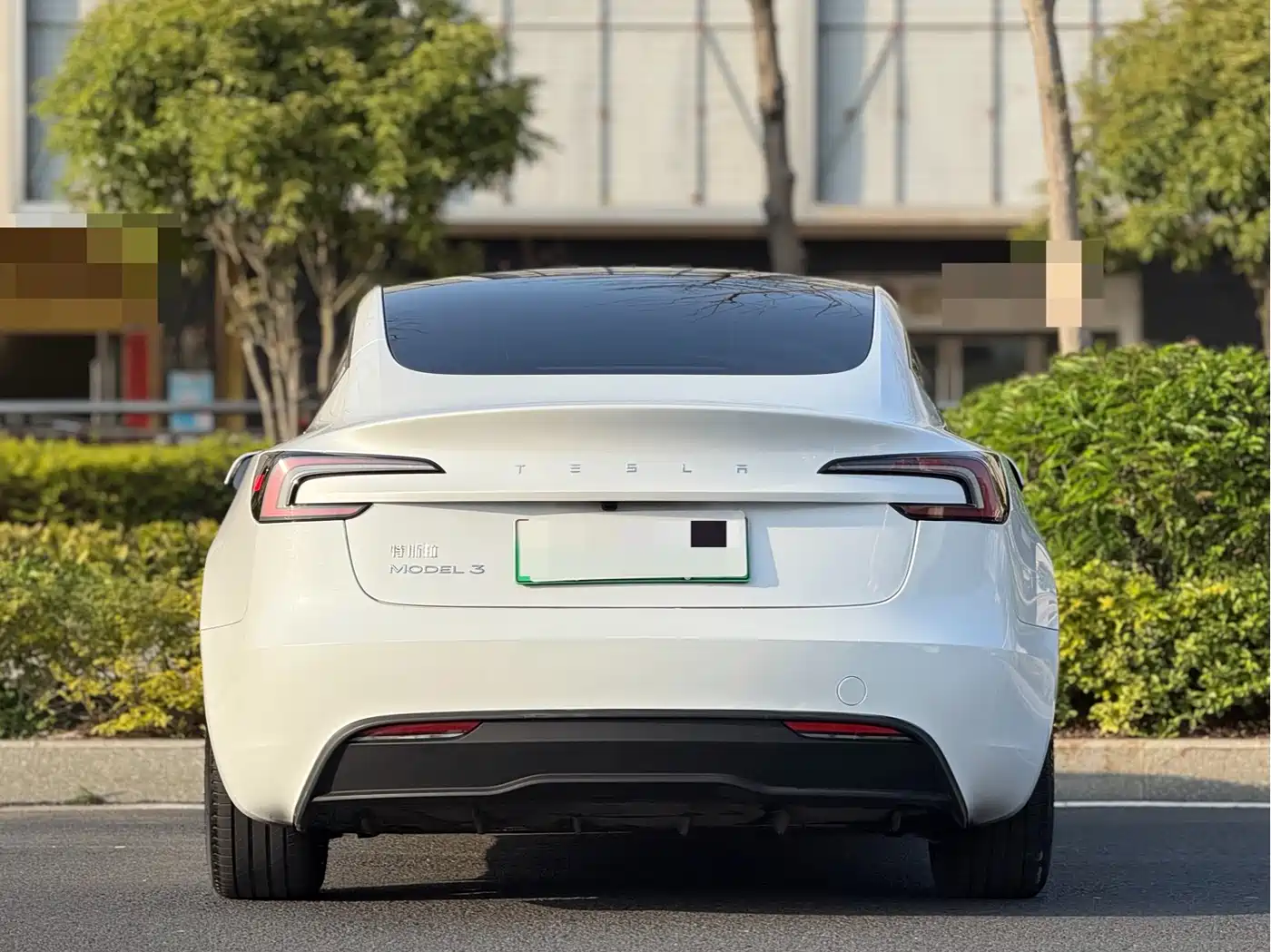 Tesla Model 3 2023 Rear-Wheel Drive фото 16