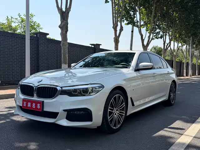 BMW 5 Series 2019 530Li Leading M Sport Package — фото 3