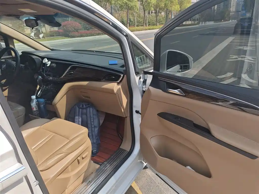 Buick GL8 2017 ES 28T Luxury China V фото 20