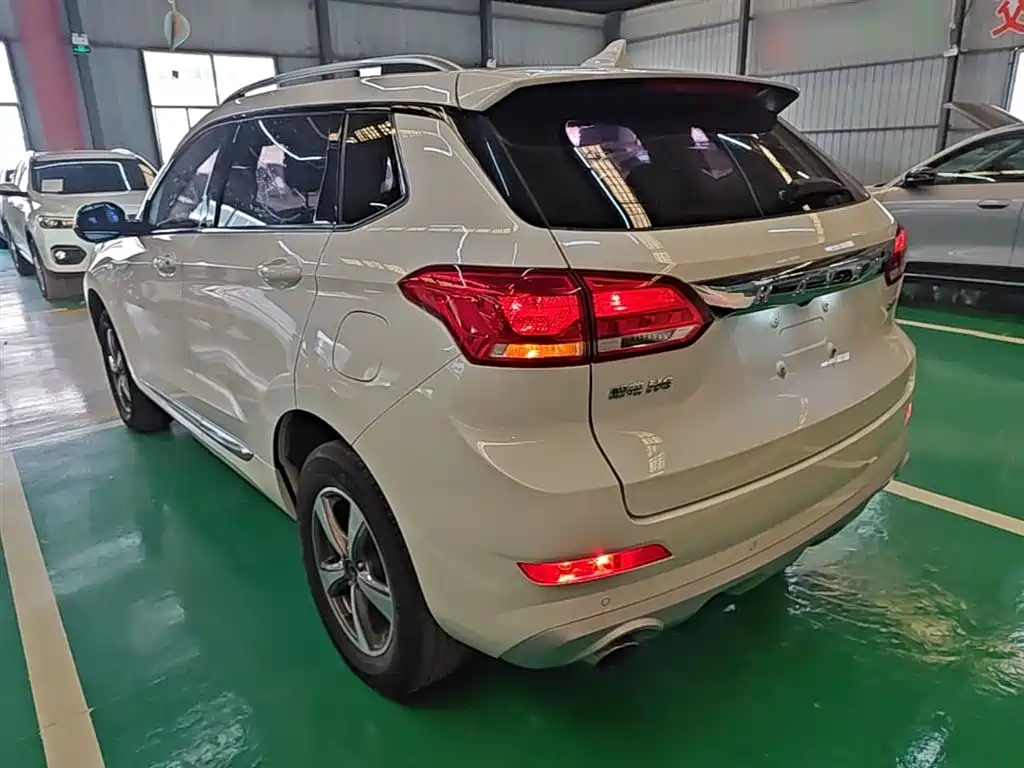 Haval H6 Coupe 2018 Red Label 1.5T Auto 2WD Luxury Edition фото 5