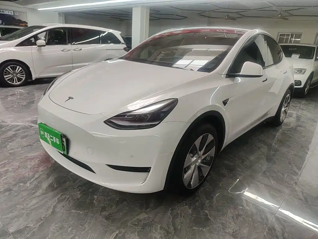 Tesla Model Y 2022 Rear-Wheel Drive Version
