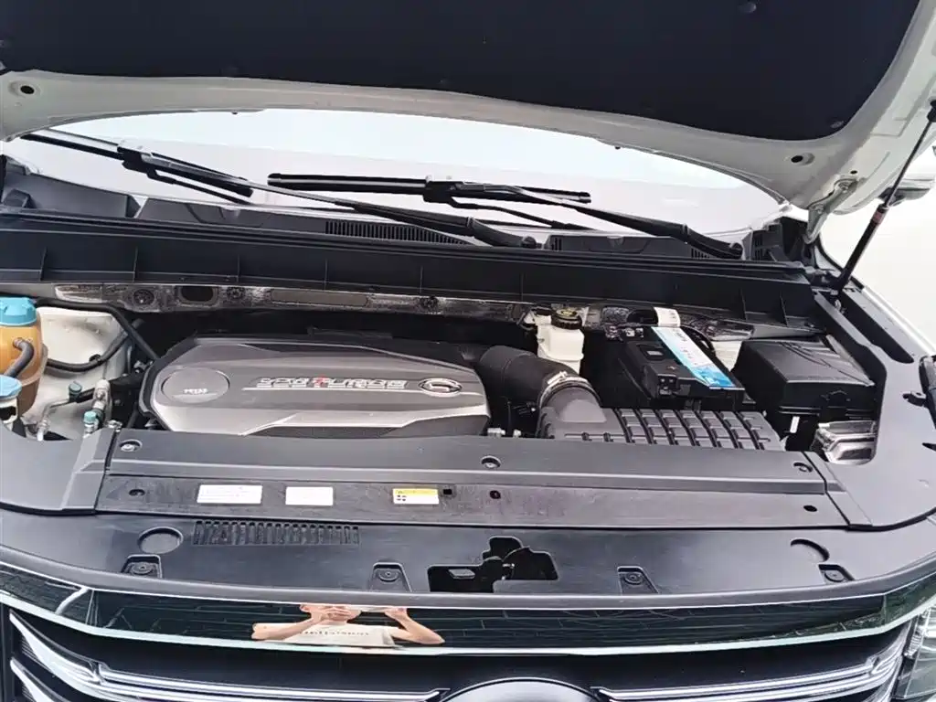 GAC Trumpchi Trumpchi GS8 2017 320T 2WD Luxury Smart Connect (7-seater) фото 20